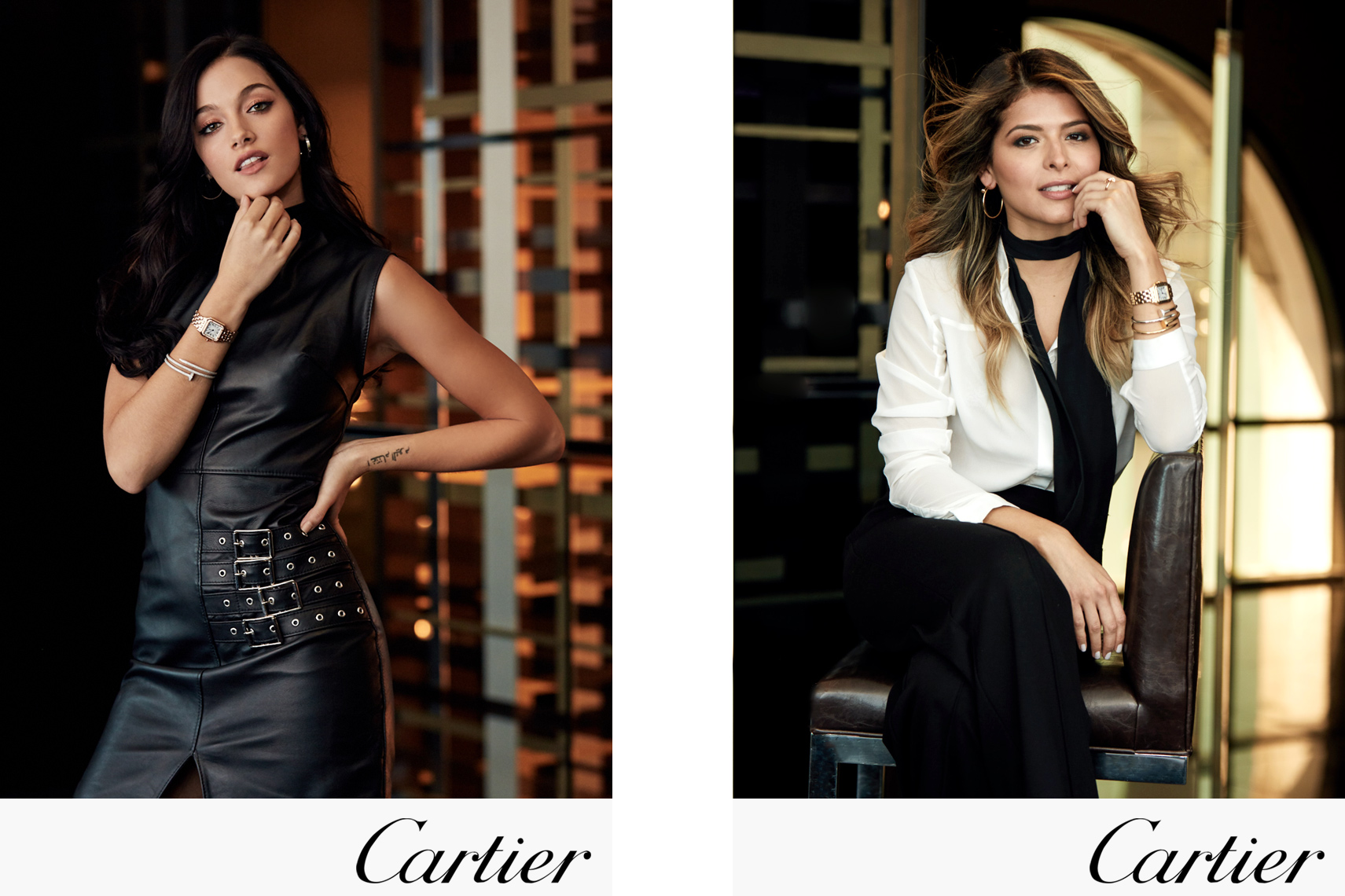 CARTIER PANTHERE CAMPAIGN